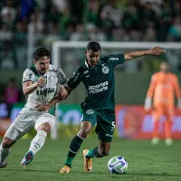 TEMPO REAL PALMEIRAS X GOIÁS PELO BRASILEIRÃO