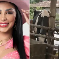 A Fazenda 15: Jenny passa perrengue no trato com a vaca: 'Está brava'