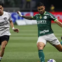 BOTAFOGO x PALMEIRAS; Onde assistir AO VIVO, raio-x e mais