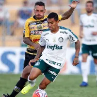 Palmeiras x Novorizontino: Saiba onde assistir partida desta quinta-feira (28)