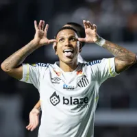 Novorizontino x Santos AO VIVO – Onde assistir jogo em tempo real pelo Brasileirão Série B