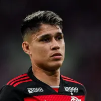 Luiz Araújo brilha no Brasileirão e torcida do Flamengo elogia: “Raça e técnica de sobra”