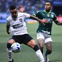 Botafogo x Palmeiras: saiba onde assistir, horário e prováveis escalações pelo Campeonato Brasileiro