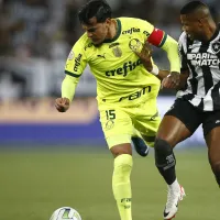 Botafogo x Palmeiras AO VIVO – Onde assistir ao jogo pelo Brasileiro em tempo real