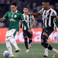 Botafogo x Palmeiras AO VIVO – Onde assistir ao jogo da Libertadores