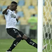 Botafogo vence com gol no fim, lidera e coloca Fluminense na zona de rebaixamento