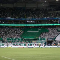 Palmeiras pode ter jogo no Allianz Parque com capacidade reduzida