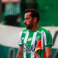 STJD admite erro que favoreceu Palmeiras e torcida do Botafogo se revolta: "Muito conveniente"