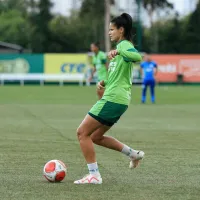 Palmeiras libera ingressos gratuitos para espetáculo do Paulistão