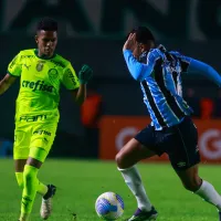 Brasileirão Série A: Palmeiras x Grêmio - Onde assistir, escalações do jogo, arbitragem e informações principais