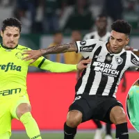 Vidente crava vitória em Palmeiras x Botafogo e definição do Brasileirão: ＂Energias estão melhores＂