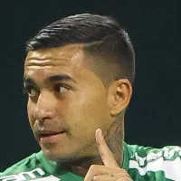 Dudu entra na campanha contra grama sintética e Palmeiras faz comunicado oficial: “Certificado pela Fifa”