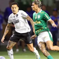 Botafogo e Palmeiras abrem o Brasileirão em duelo de números expressivos e recente rivalidade