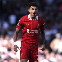 Palpite Brighton x Liverpool - Premier League - 19/05/2025