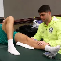 Palmeiras recria Academia de Futebol nos Estados Unidos