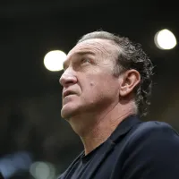 Galo foca em volante e meia na janela