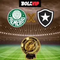 Onde assistir a Botafogo x Palmeiras ao vivo: horário, canal e escalações