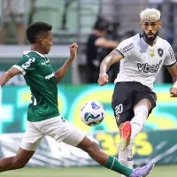 Botafogo não perde para o Palmeiras há mais de 1 ano e quer manter invencibilidade