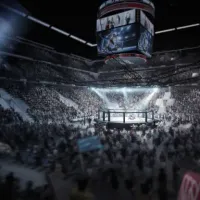 Apostas UFC: veja melhores sites, odds e dicas para iniciantes