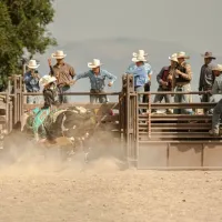 Como apostar em vaquejada? Melhore sites e dicas para iniciantes