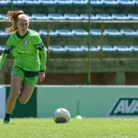Palmeiras anuncia treino aberto em Vinhedo antes da decisão da Copa do Brasil Feminina