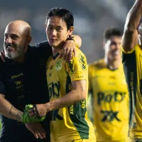 Mirassol pode quebrar recorde como mandante diante do Flamengo