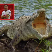 Conmoción en el mundo del fútbol: fallece jugador devorado por cocodrilo