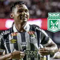 Atlético Nacional tiene nuevo goleador con el fichaje de Alfredo Morelos