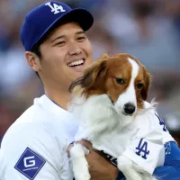 Dodgers News: Shohei Ohtani mimics his dog in hilarious on-field celebration