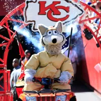 From hilarious to iconic: The most memorable NFL mascots of all time