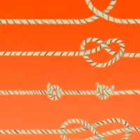 ¿Qué cuerda te parece más larga? Descubre tu nivel de inteligencia