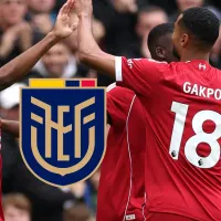 Liverpool pone 40 millones de euros por crack de la Selección de Ecuador