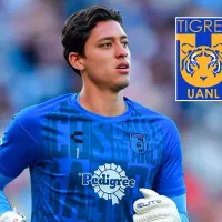 Veljko Paunovic dio el sí: Tigres UANL estaría a punto de cerrar el fichaje de Fernando Tapia