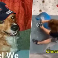 Mejores memes y reacciones tras el choque de Checo Pérez en el GP de Hungría de la F1