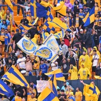 Aficionados de Tigres UANL piden la salida de Veljko Paunovic y postulan a su reemplazo: ＂Vayan a...＂