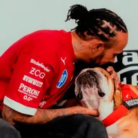 El desgarrador mensaje de Lewis Hamilton tras la muerte de Roscoe: “La decisión más difícil de mi vida”