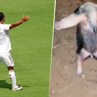 Los mejores memes tras la victoria del Real Madrid sobre el Barcelona en el Clásico de LaLiga