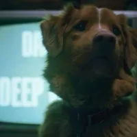 Good Boy Ending: Does the Dog Die at the End?
