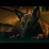 ¿Dog: Un viaje salvaje está en Netflix? Dónde ver la película en streaming
