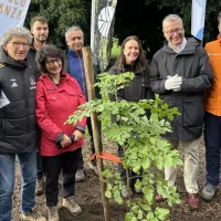 Para aplaudir: Colo Colo inicia el camino para ser el equipo más ecológico de Sudamérica