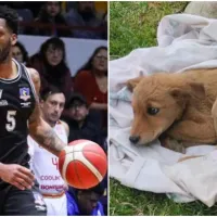 Fan número uno: La conmovedora historia de amor por su mascota de basquetbolista de Colo Colo