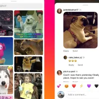 Los GIF llegan a Instagram: Revisa aquí cómo puedes usarlos