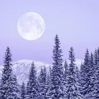 ¿Por qué el solsticio de invierno tiene la noche más larga del año?