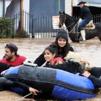 ¿Qué se debe hacer para recibir el Bono de Recuperación?