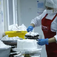 Bono Mujer Trabajadora: ¿Cómo saber si tengo el pago anual?