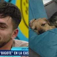 ¿Qué dijo Bambino sobre Bigote de Gran Hermano?