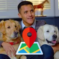 ¿Una pista? Alexis sube fotos de sus perros con ubicación activada