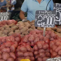 Sube la inflación con el IPC: ¿Qué alimentos aumentaron más su precio?