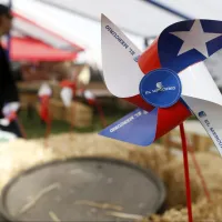 Valores fondas del Parque Intercomunal de La Reina