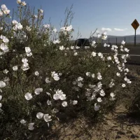 ¿Cuánto falta para que termine el invierno y empiece la primavera?